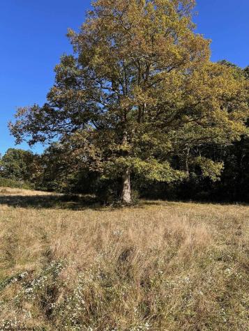 3785 Grafton Road Morgantown WV 26508-359