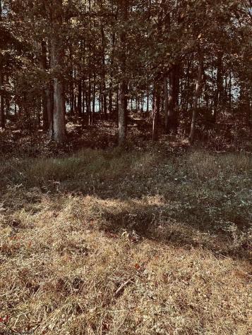 3785 Grafton Road Morgantown WV 26508-359