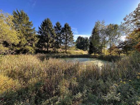 3785 Grafton Road Morgantown WV 26508-359