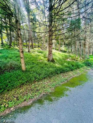 1208 Bell Run Road Fairmont WV 26588
