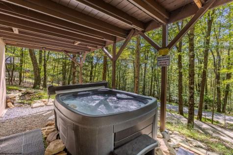 100 Ginger Court Terra Alta WV 26764