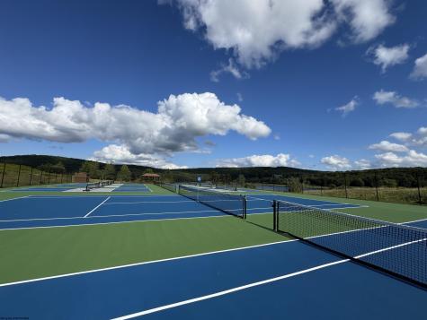 100 Ginger Court Terra Alta WV 26764