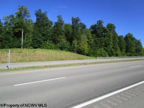 1303 Pheasant Mountain Road Kerens WV 26276