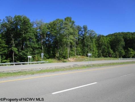 1303 Pheasant Mountain Road Kerens WV 26276