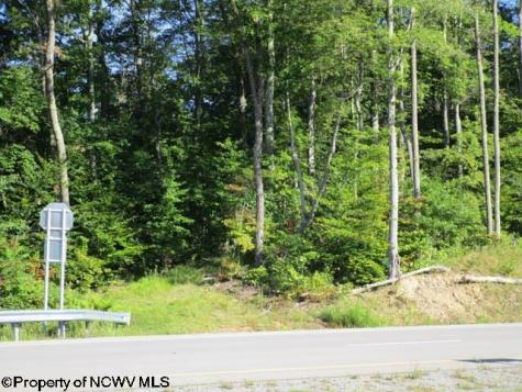 1303 Pheasant Mountain Road Kerens WV 26276