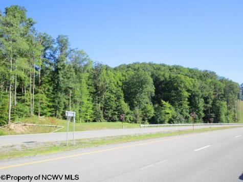 1303 Pheasant Mountain Road Kerens WV 26276