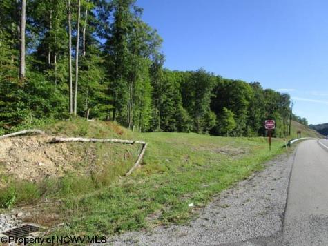1303 Pheasant Mountain Road Kerens WV 26276