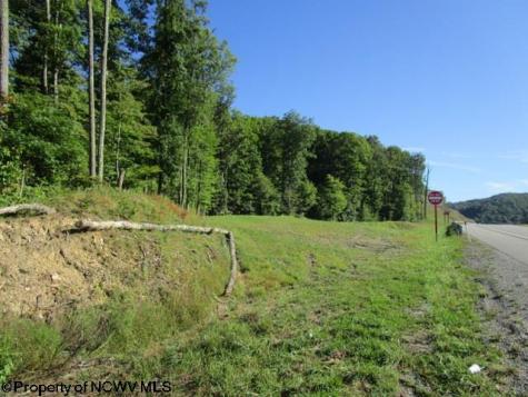 1303 Pheasant Mountain Road Kerens WV 26276