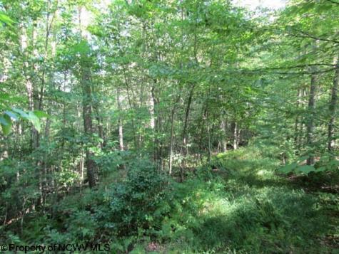 1303 Pheasant Mountain Road Kerens WV 26276