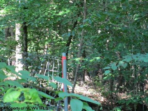1303 Pheasant Mountain Road Kerens WV 26276
