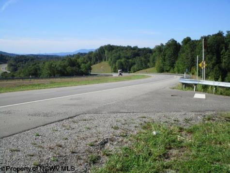 1303 Pheasant Mountain Road Kerens WV 26276