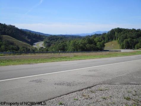 1303 Pheasant Mountain Road Kerens WV 26276