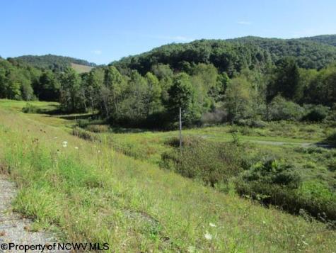 1303 Pheasant Mountain Road Kerens WV 26276
