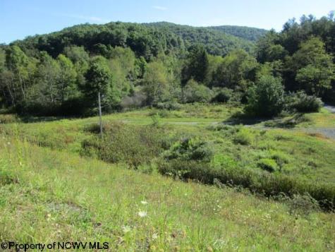 1303 Pheasant Mountain Road Kerens WV 26276