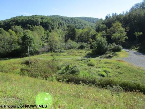 1303 Pheasant Mountain Road Kerens WV 26276