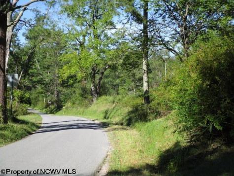 1303 Pheasant Mountain Road Kerens WV 26276
