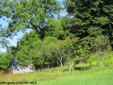 1303 Pheasant Mountain Road Kerens WV 26276