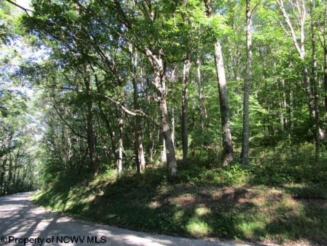 1303 Pheasant Mountain Road Kerens WV 26276