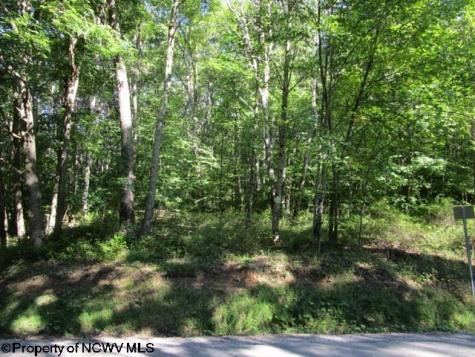 1303 Pheasant Mountain Road Kerens WV 26276