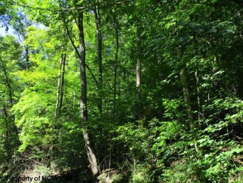 1303 Pheasant Mountain Road Kerens WV 26276