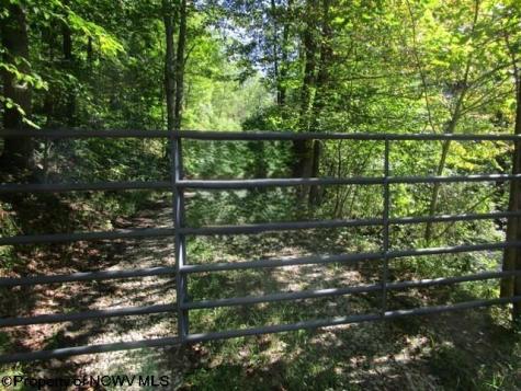 1303 Pheasant Mountain Road Kerens WV 26276