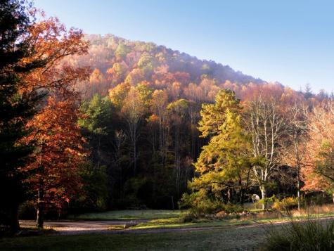 1303 Pheasant Mountain Road Kerens WV 26276