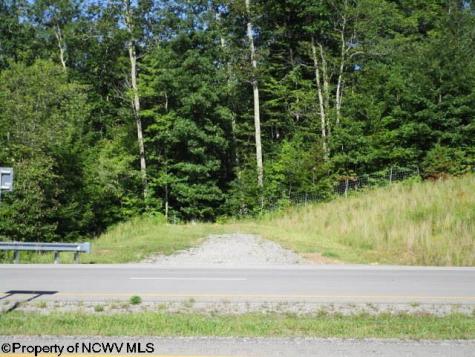 1303 Pheasant Mountain Road Kerens WV 26276