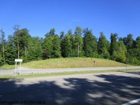 1303 Pheasant Mountain Road Kerens WV 26276