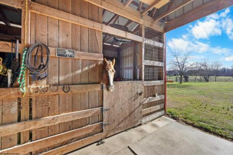 1847 Alexander Road French Creek WV 26218