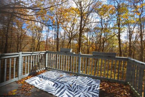 1218 E Alpine Drive Terra Alta WV 26764