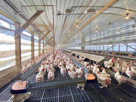 527 Offutt School Road Augusta WV 26704