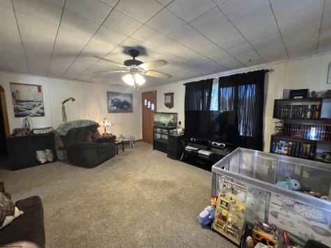 22 Gibson Avenue Masontown WV 26542