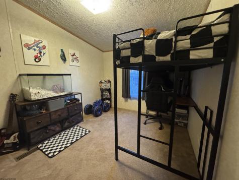 47 Rapp Drive Davis WV 26260-0000