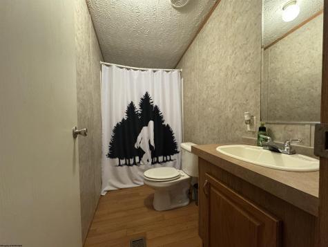 47 Rapp Drive Davis WV 26260-0000