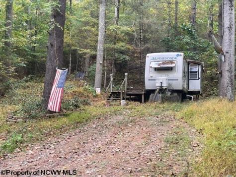 186 Joe Gibson Road Newburg WV 26410-8922