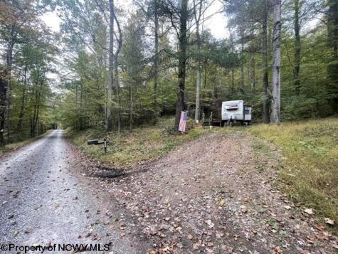 186 Joe Gibson Road Newburg WV 26410-8922