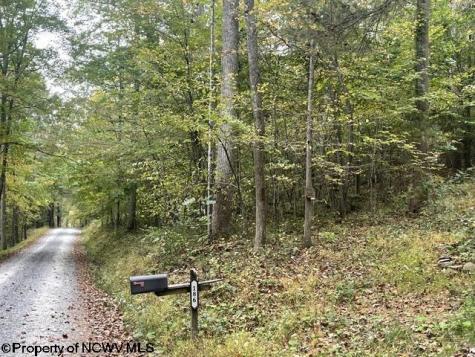 186 Joe Gibson Road Newburg WV 26410-8922