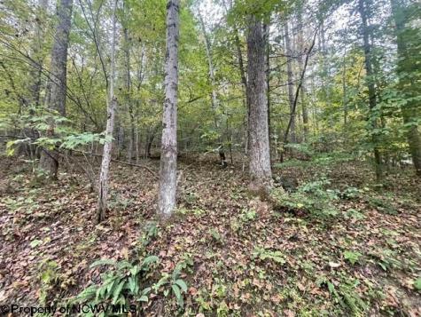186 Joe Gibson Road Newburg WV 26410-8922