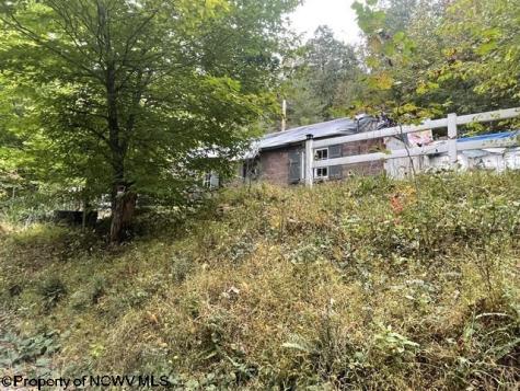 186 Joe Gibson Road Newburg WV 26410-8922