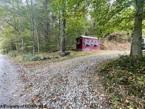 186 Joe Gibson Road Newburg WV 26410-8922