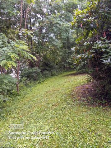 152 Spruce Street Parsons WV 26287