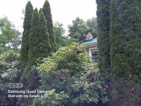 152 Spruce Street Parsons WV 26287