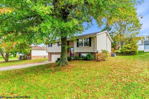 603 Hickory Lane Bridgeport WV 26330