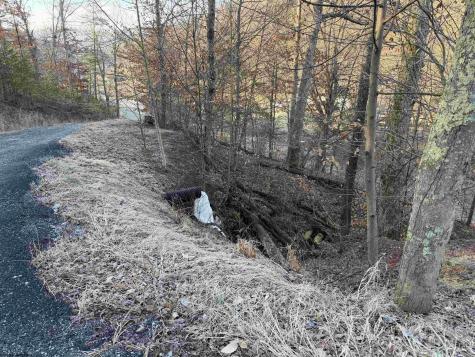 796 Bear Run Road Cairo WV 26337