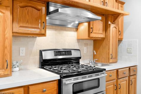 221 Anemone Lane Terra Alta WV 26764
