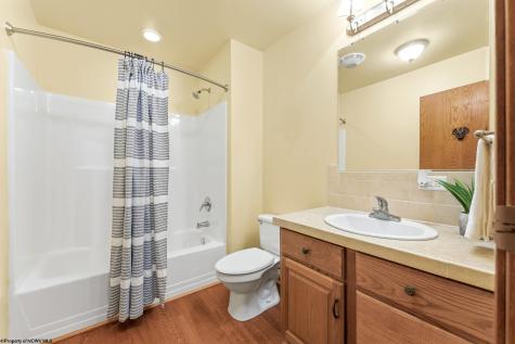 221 Anemone Lane Terra Alta WV 26764