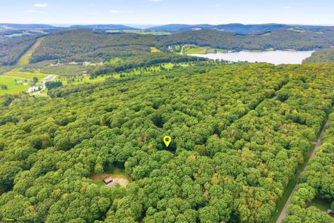 221 Anemone Lane Terra Alta WV 26764