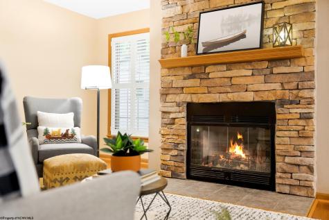 221 Anemone Lane Terra Alta WV 26764
