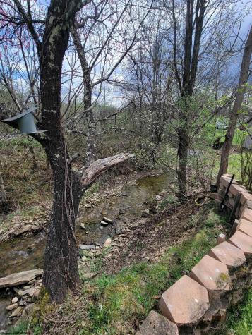 42 Gate Lane Elkins WV 26241