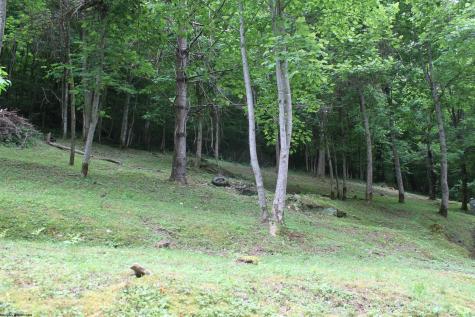 2495 Bergoo Road Bergoo WV 26298